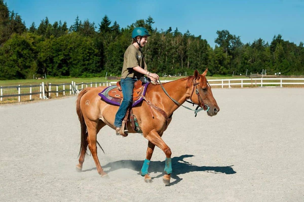A young woman rides a brown Grade Horse.