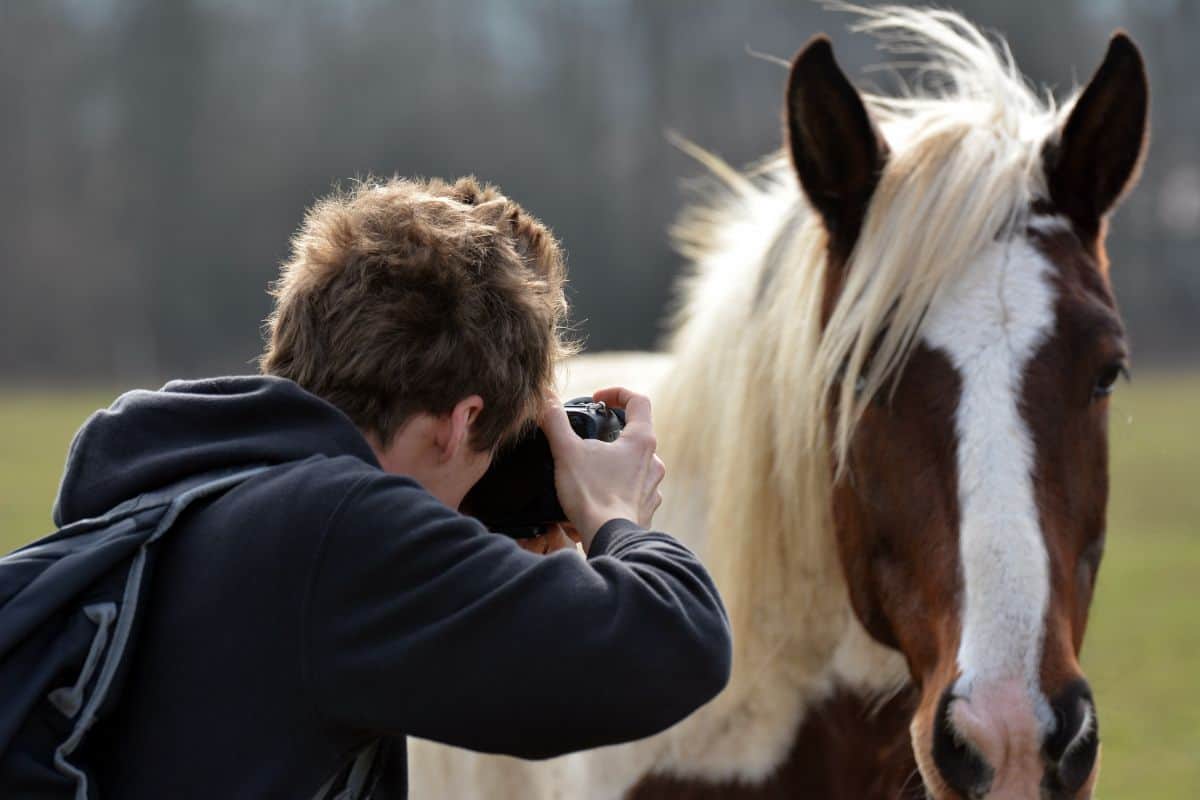 A young man taking a photo of a majestic horse.