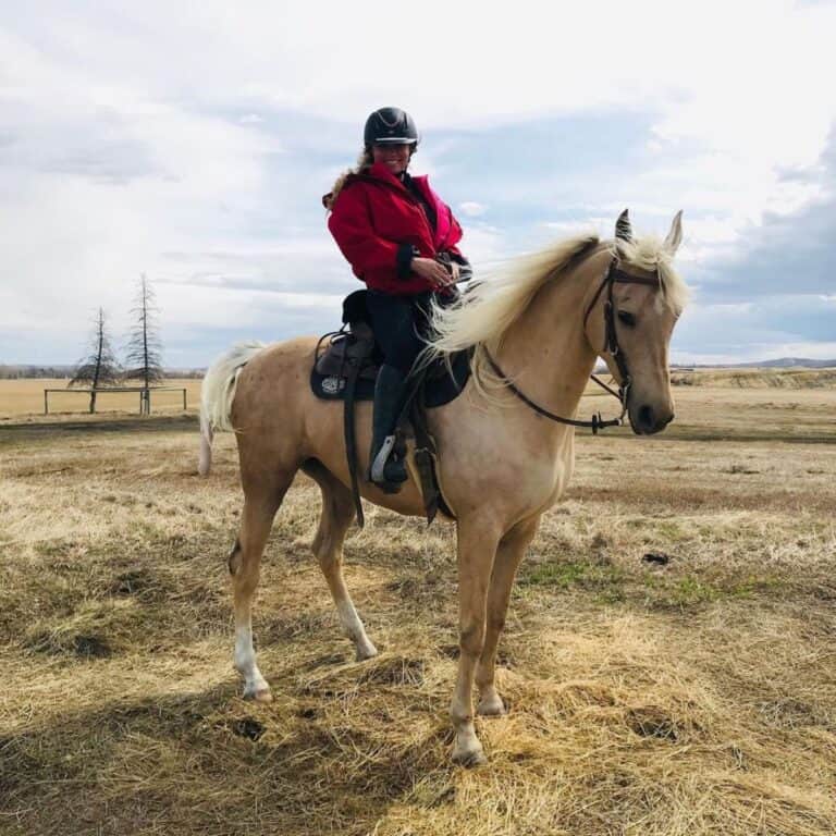 Shania Twain sits on a light-brown horse.
