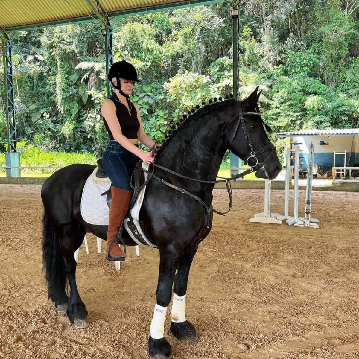 A woman sits on a black Friesian horse.