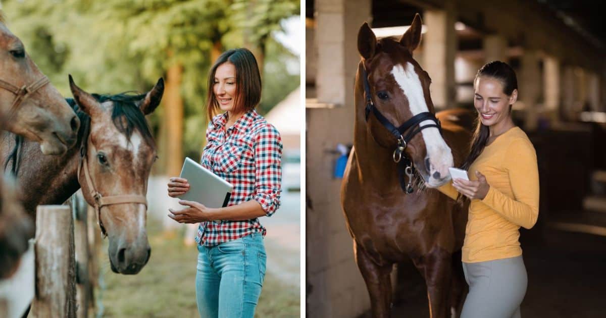 From Stable to Smartphone: How Tech is Transforming Horse Care