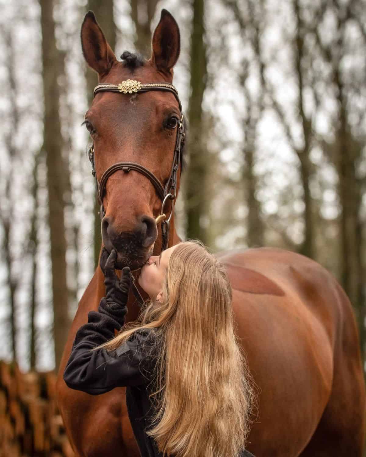 A young woman kisses a brown horse.