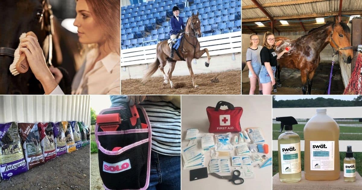 11 Horse Supplies and Equipment You Need in 2023 facebook image.