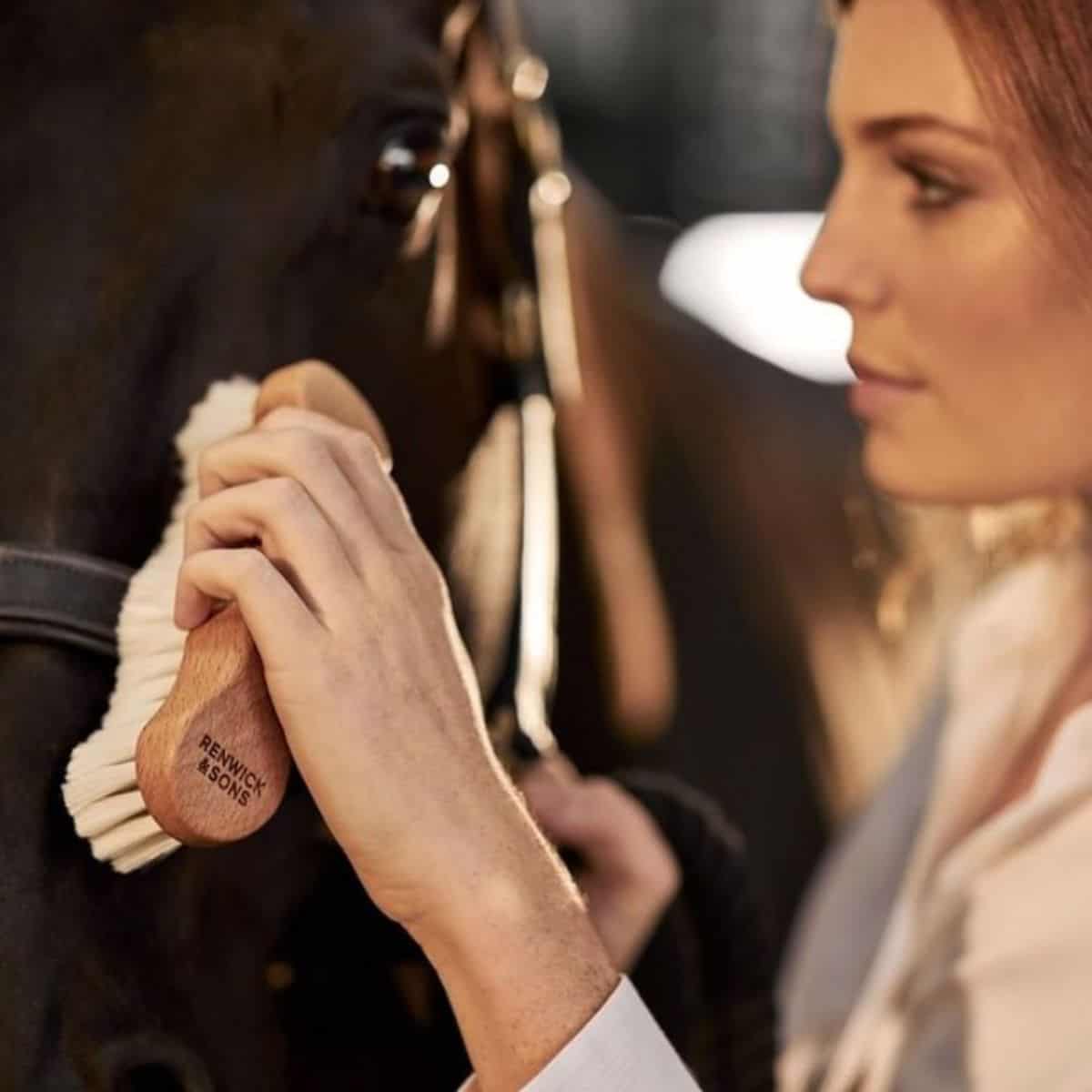 A young woman is brushing a brown horse with a brush.