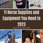 11 Horse Supplies and Equipment You Need in 2023 pinterest image.