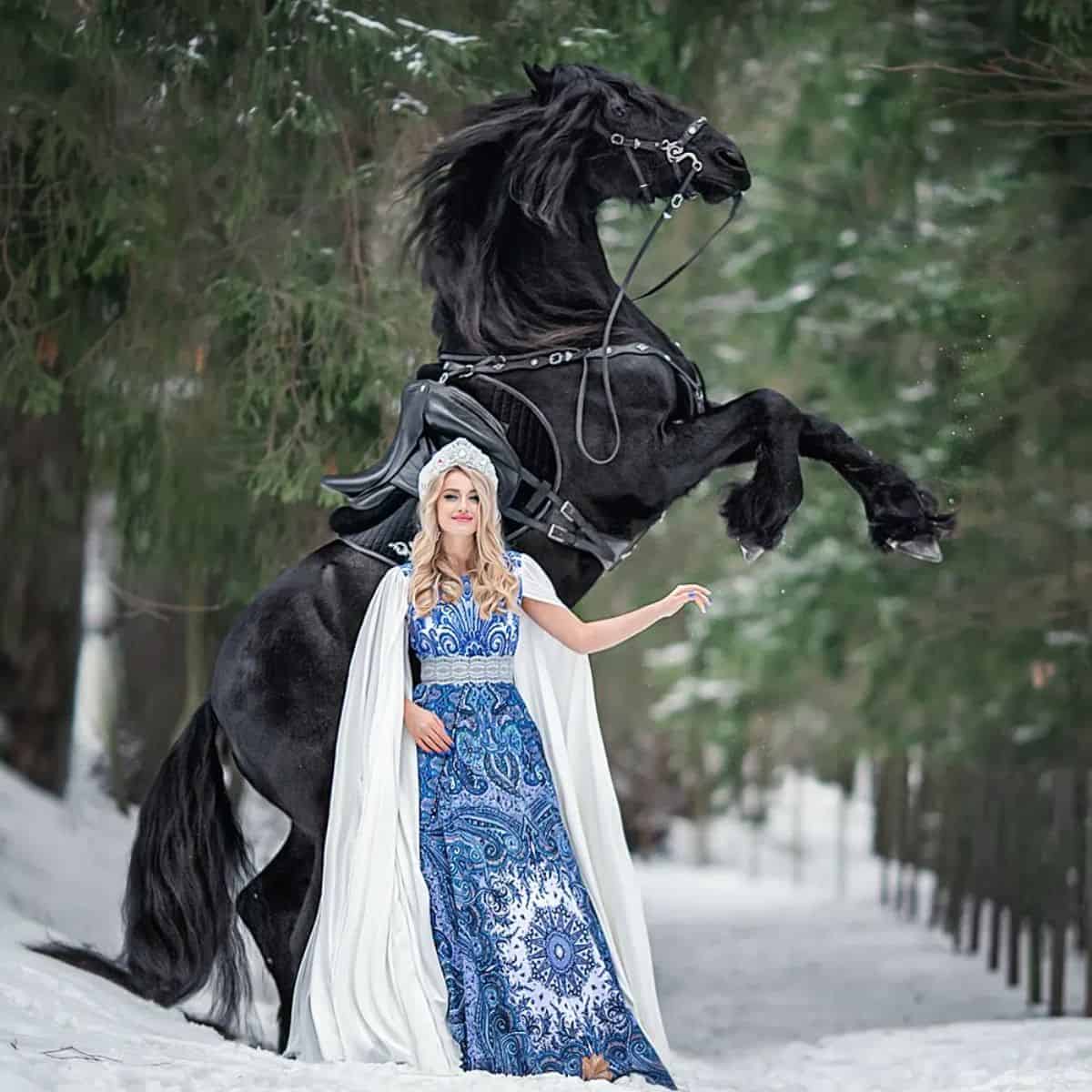 A young woman stands infront of a black horse on his back legs.