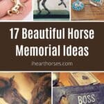 17 Beautiful Horse Memorial Ideas pinterest image.