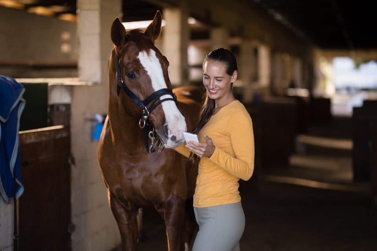 A young woman is looking at a phone and stands in a stable near a brown horse.