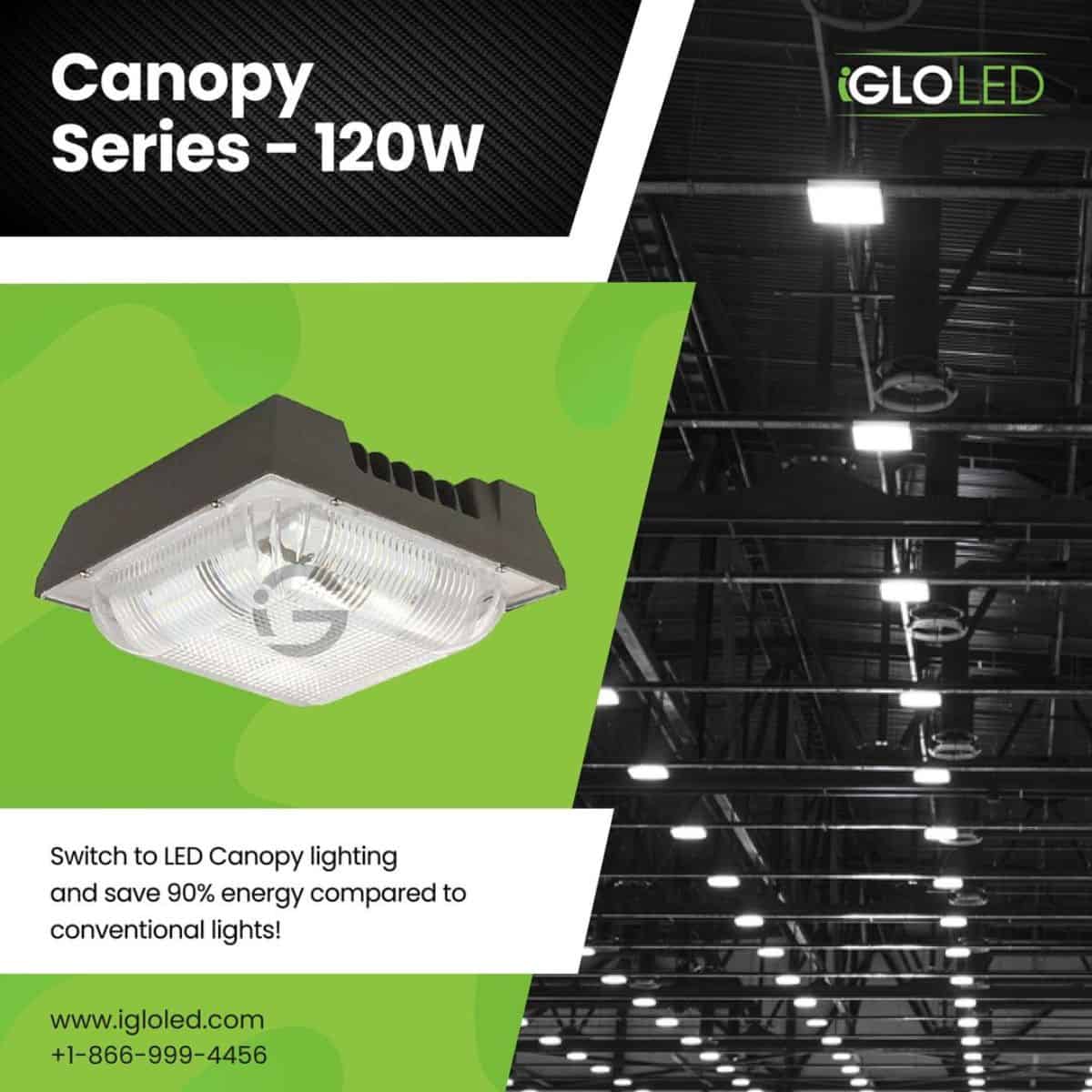 Canopy Lights