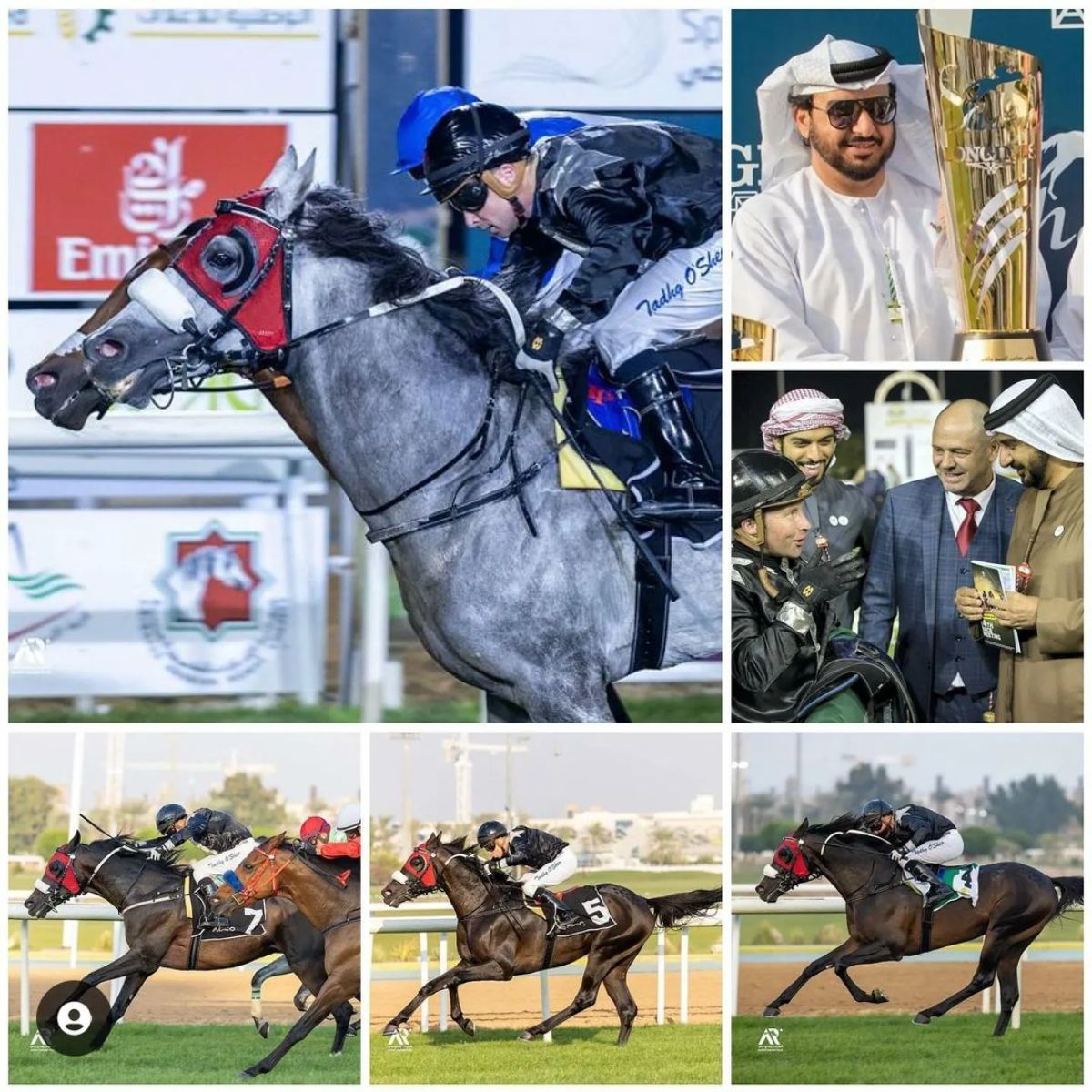 A collage of horse riding competition images.