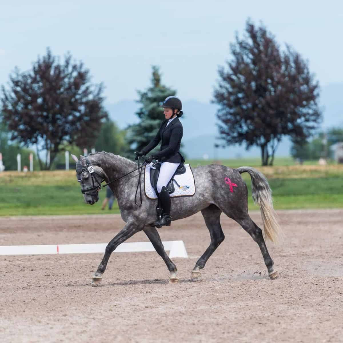 A woman rides a gray Irish Sport Horse on a ranch.