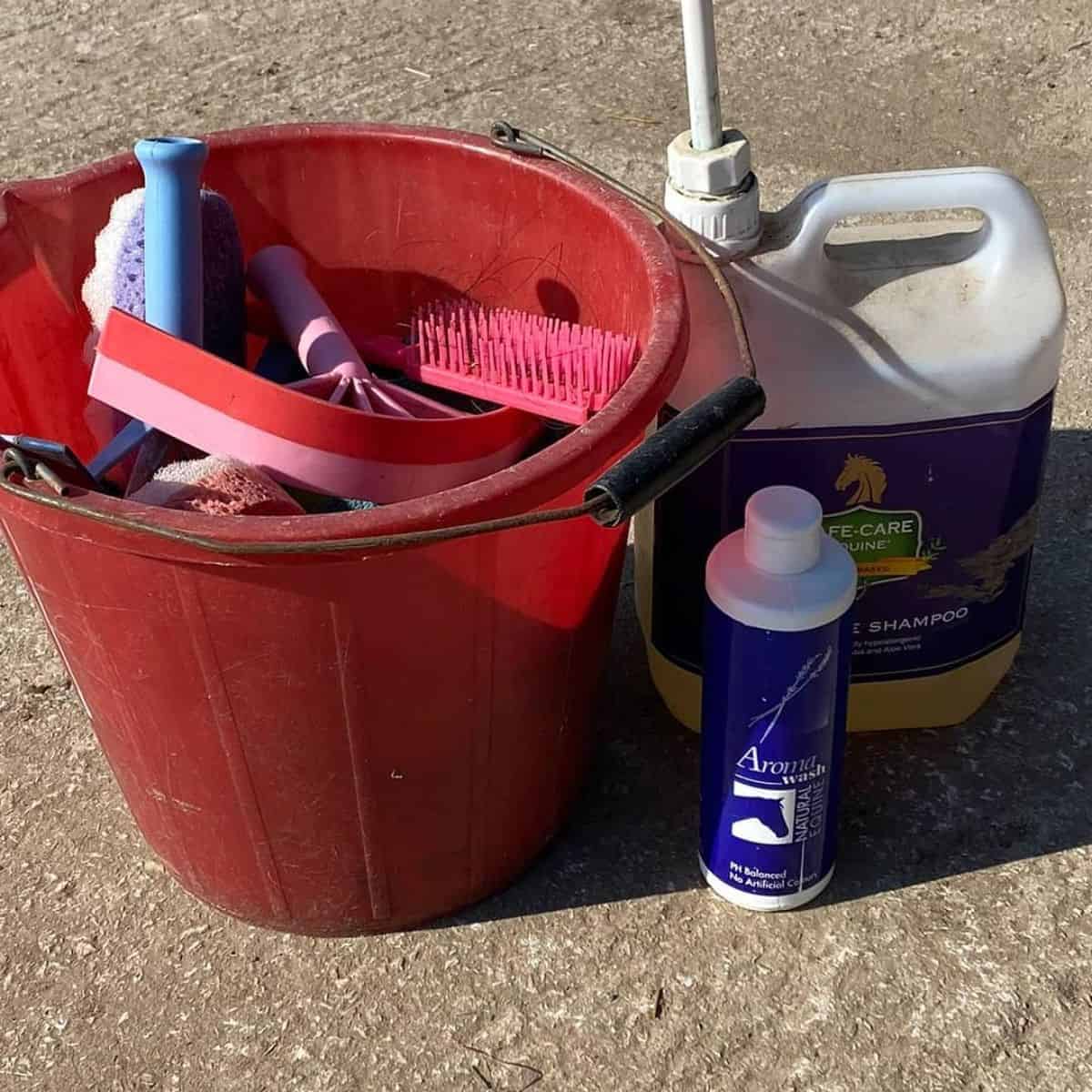 Detangles spray and conditioner with other horse-care accessories.