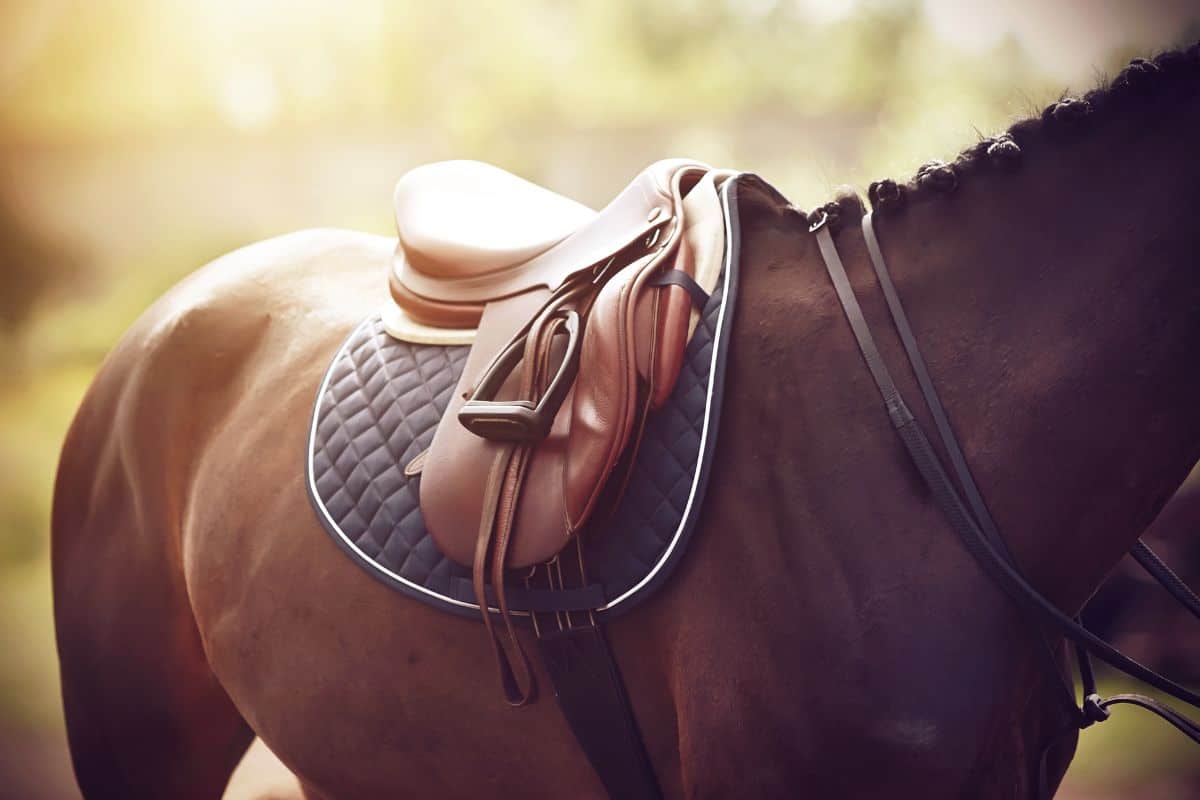 A brown horse with a leather saddle.	