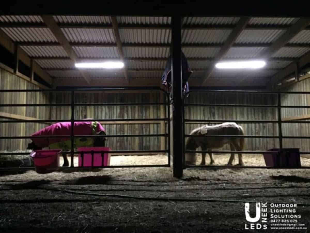 Ceiling Mounted Lights in a barn.