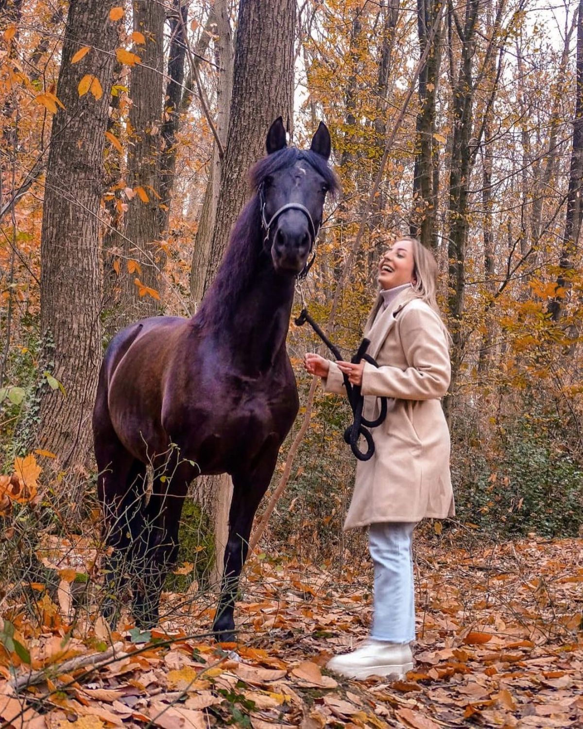 A young woman with a brown horse in a forest.