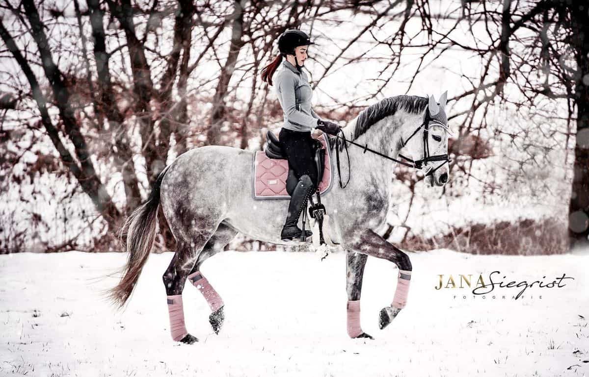 A young woman rides a gray horse during winter.