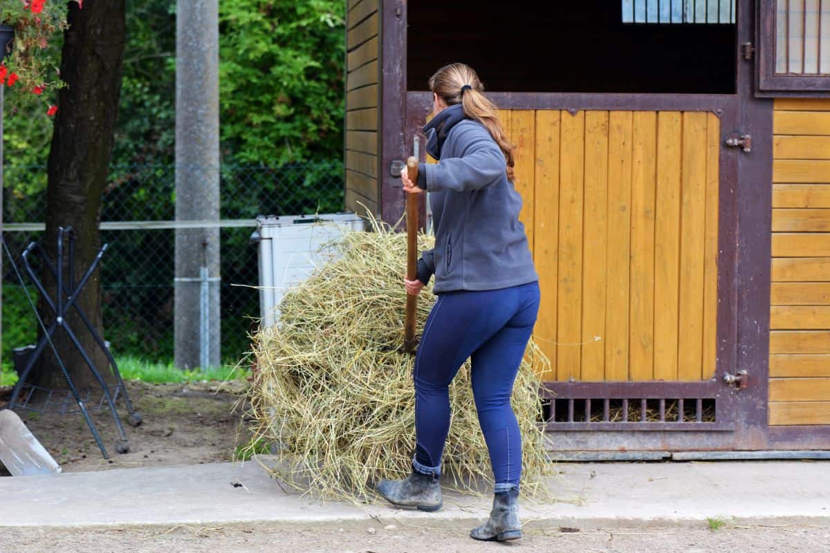 A woman carrying a straw on a pitchfork to a stable.