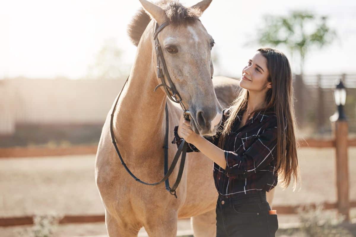 A young woman taking care of a brown horse.