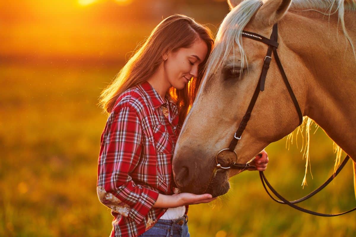 A young woman petting a brown horse.