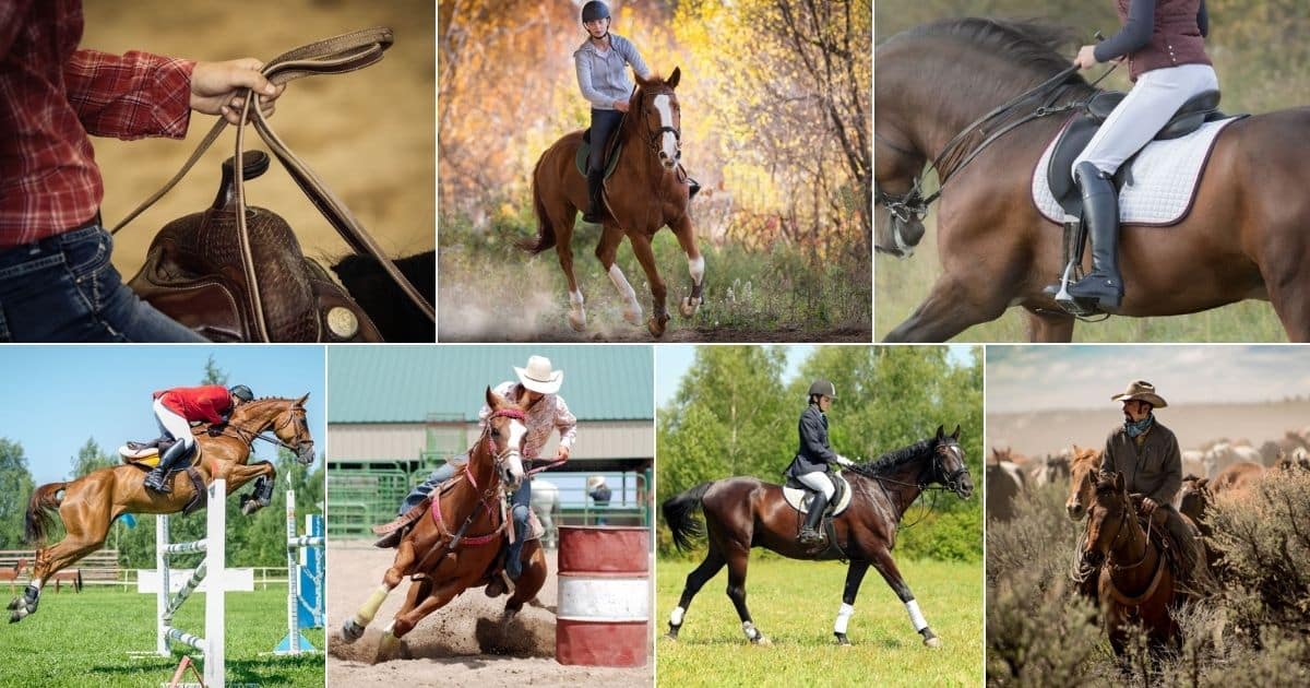 7 Key Differences Between English vs. Western Riding facebook image.
