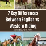 7 Key Differences Between English vs. Western Riding pinterest image.