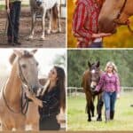 7 Proven Methods to Teach Your Horse to Stand Still pinterest image.
