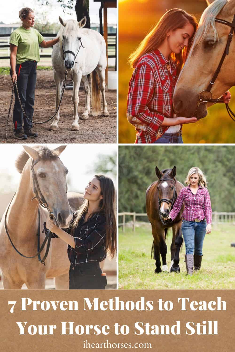 7 Proven Methods to Teach Your Horse to Stand Still