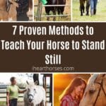 7 Proven Methods to Teach Your Horse to Stand Still pinterest image.