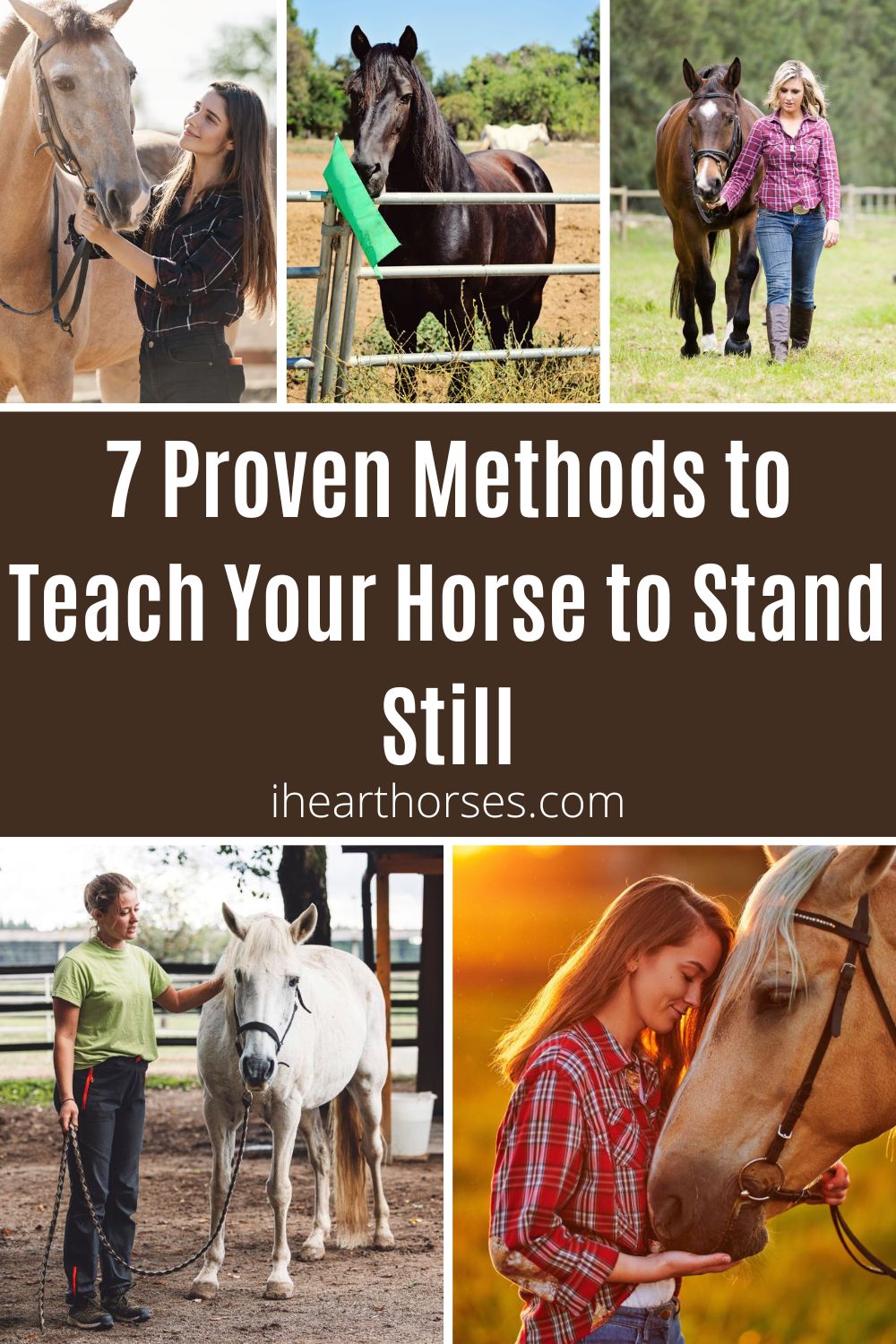 7 Proven Methods to Teach Your Horse to Stand Still