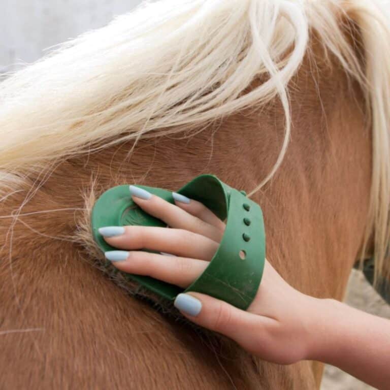 A woman brushing a brown horse with a green brush.