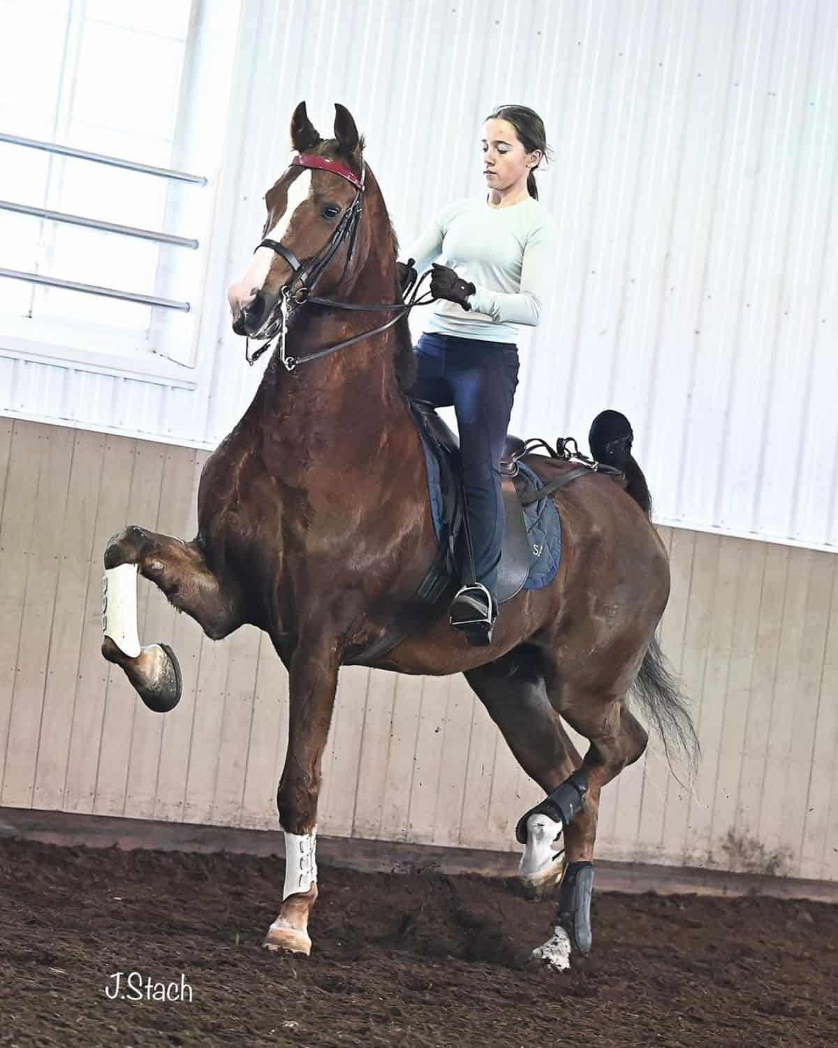 A young woman rides a brown horse.