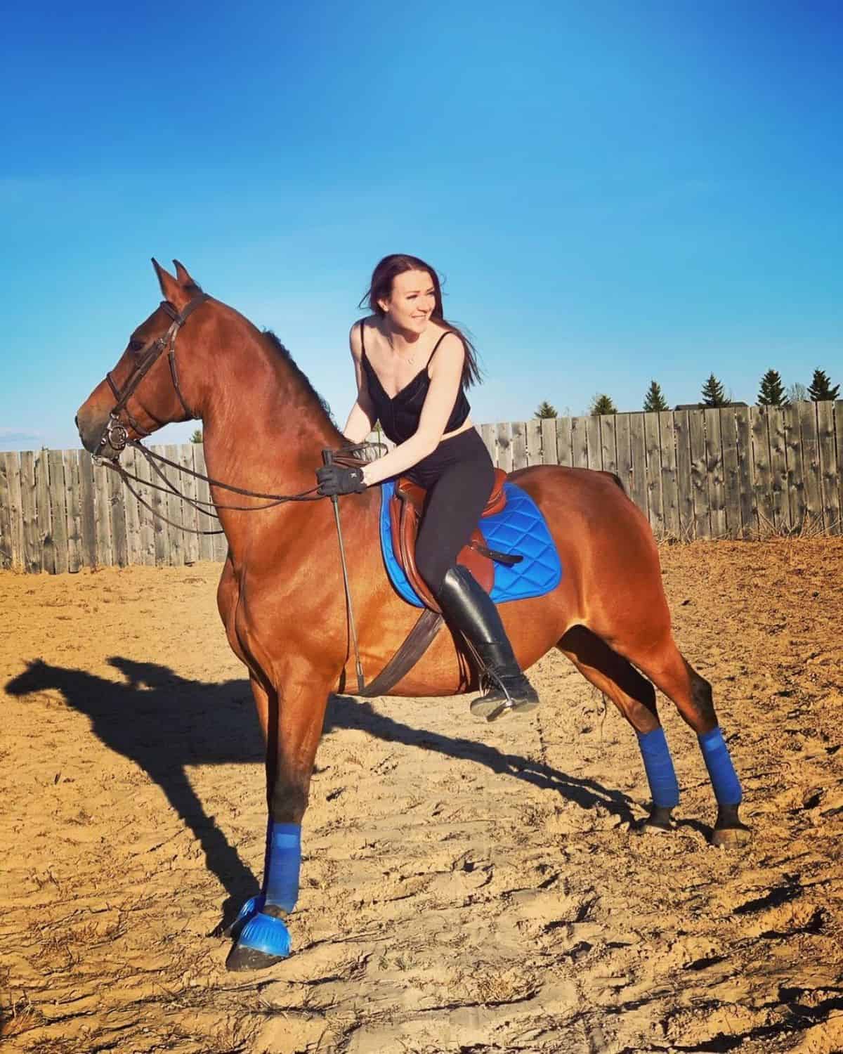 A woman sits on a brown Morgan horse.