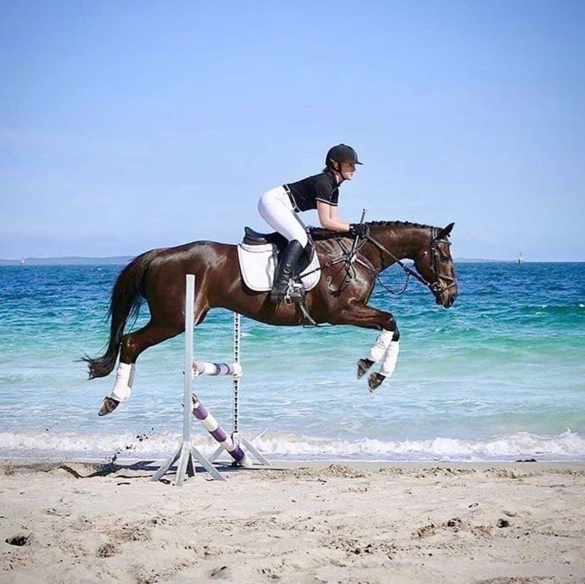 A brown horse with its rider jump over an obstacle on a beach.