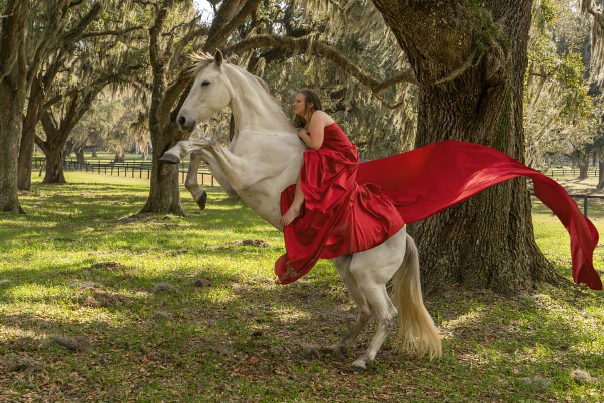 A woman rides in a red dress sits on a white Azteca horse.