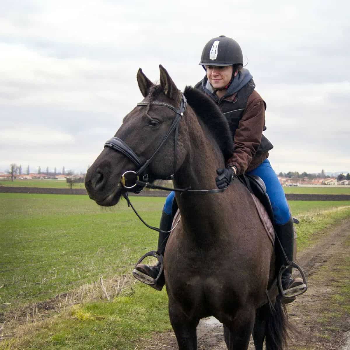 A woman rides a brown Azteca horse.