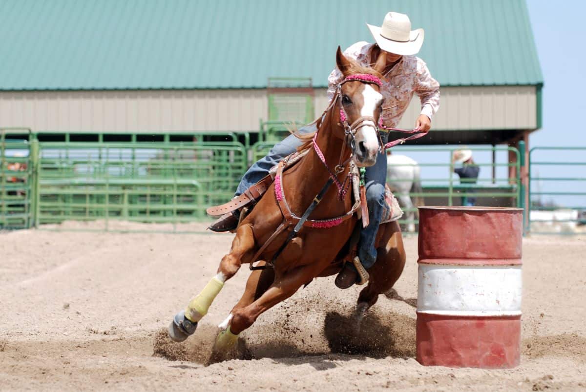 Barrel horse riding.