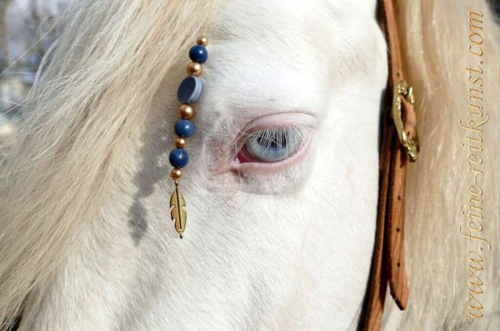 21 Stunning Photos Of Blue-Eyed Horses