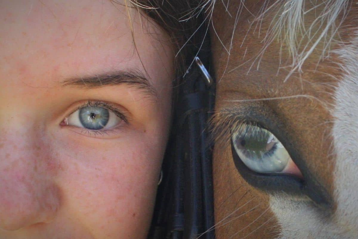 A portrait of a blue-eyed girl and a blue-eyed horse.
