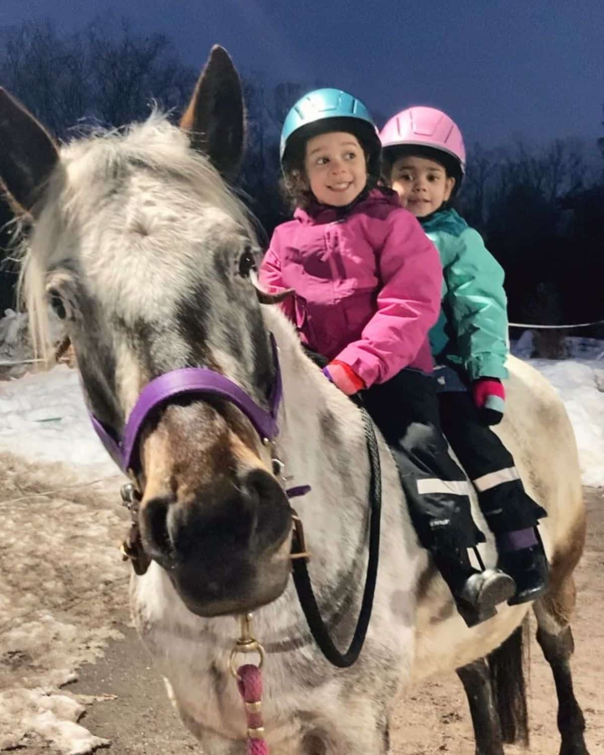 Two kids riding a gray Colorado Ranger horse.