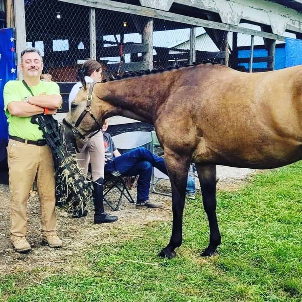 A brown Colorado Ranger horse stands near a man in a green shirt.