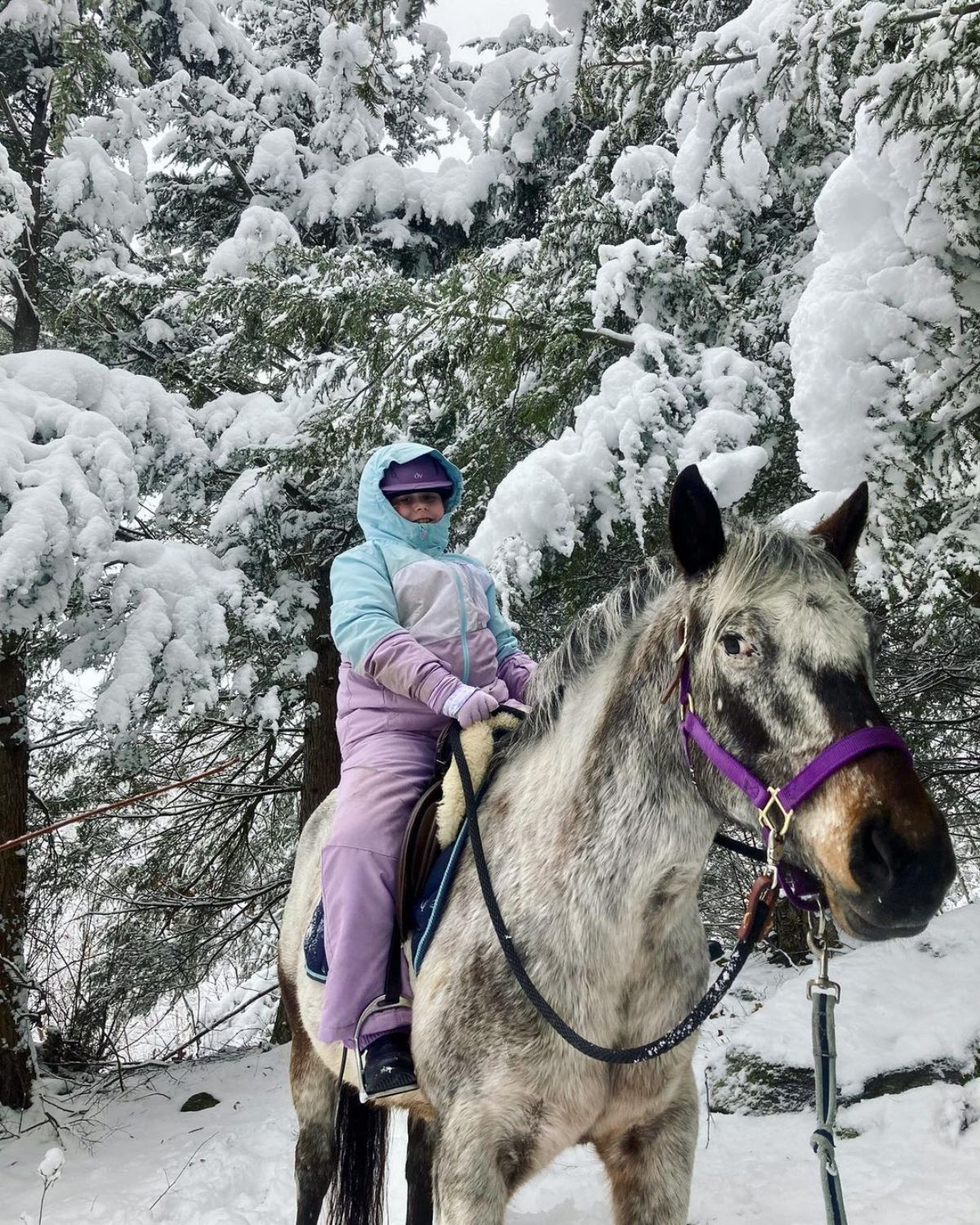 A young girl riding a gray Colorado Ranger horse during winter.