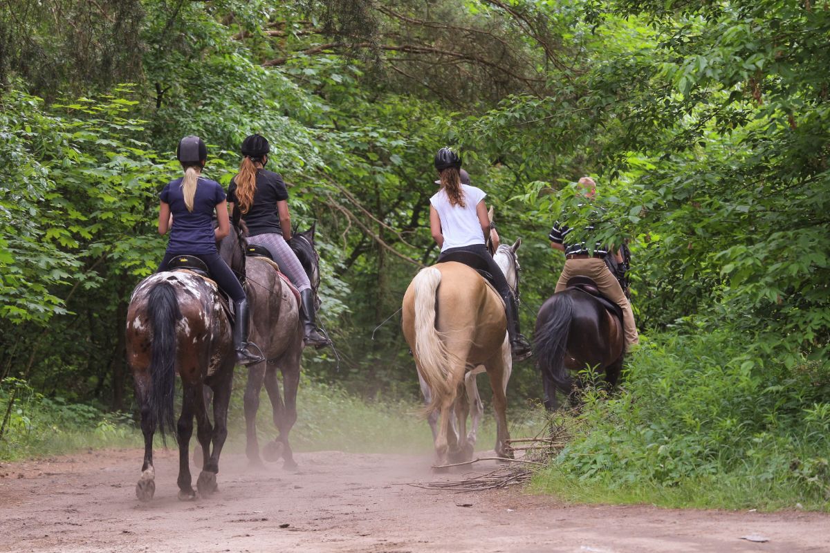 A bunch of people enjoying a horse ride.