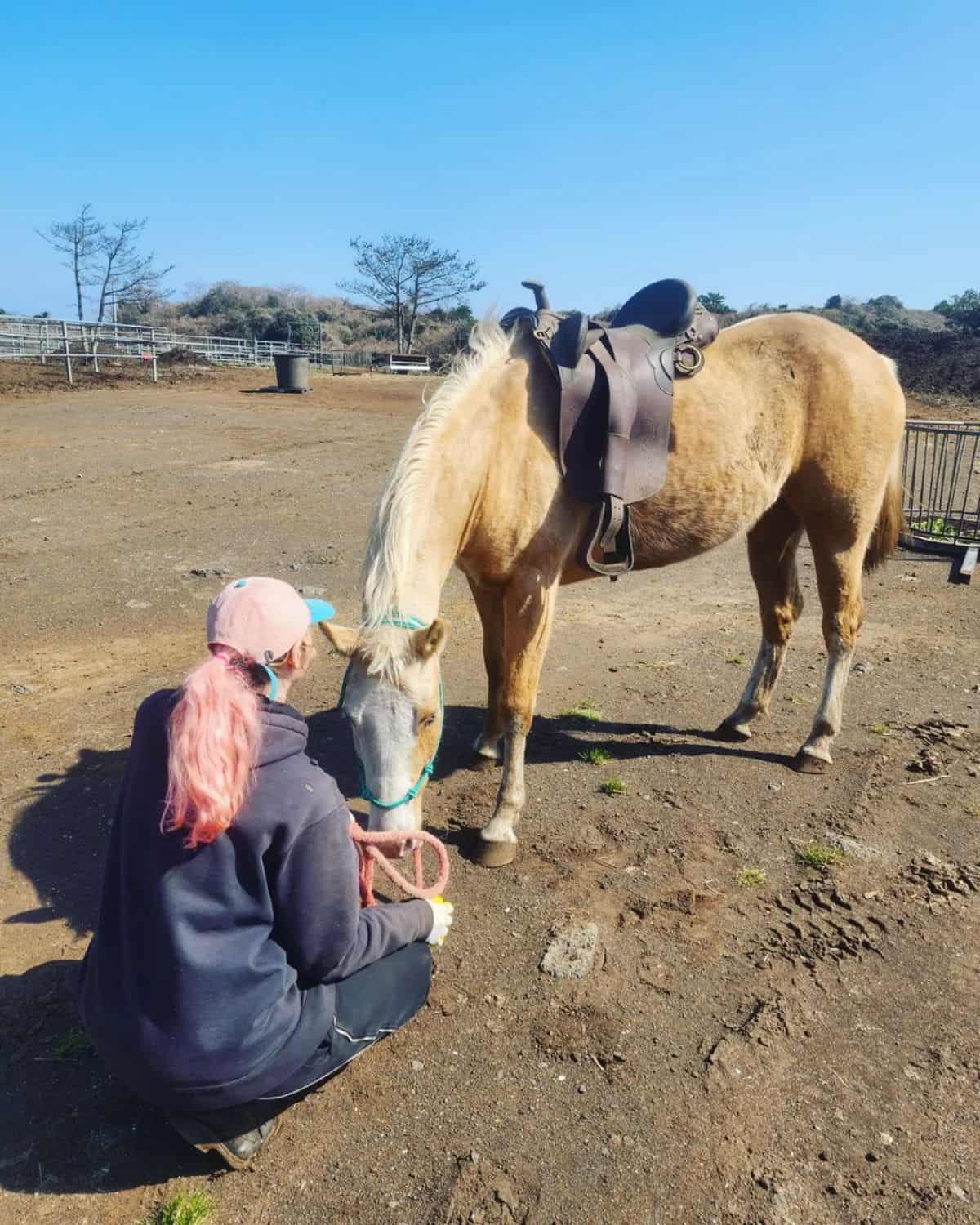 A horse trainer trains a light-brown horse on a ranch.