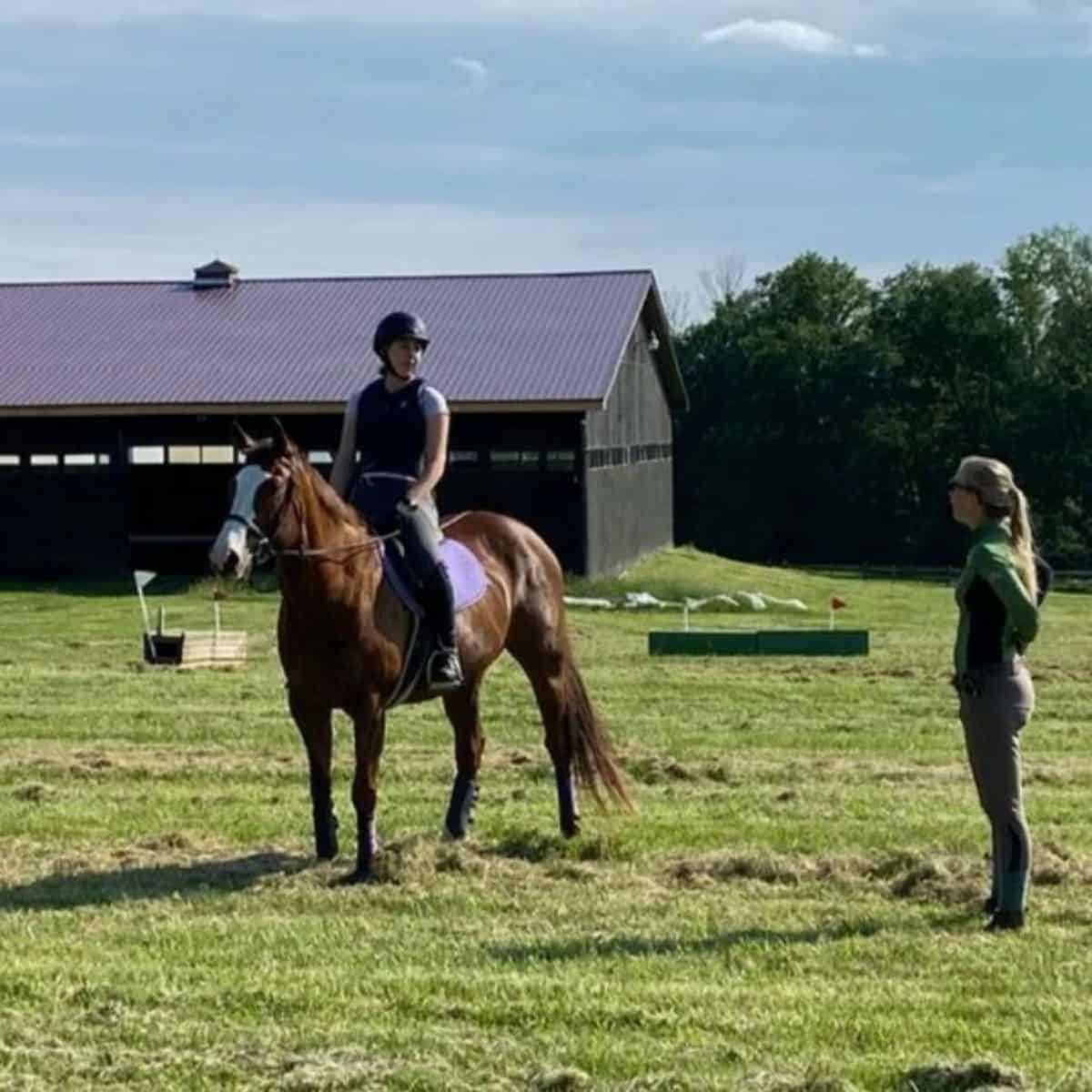 Two horse trainers teaching a brown horse on a ranch.