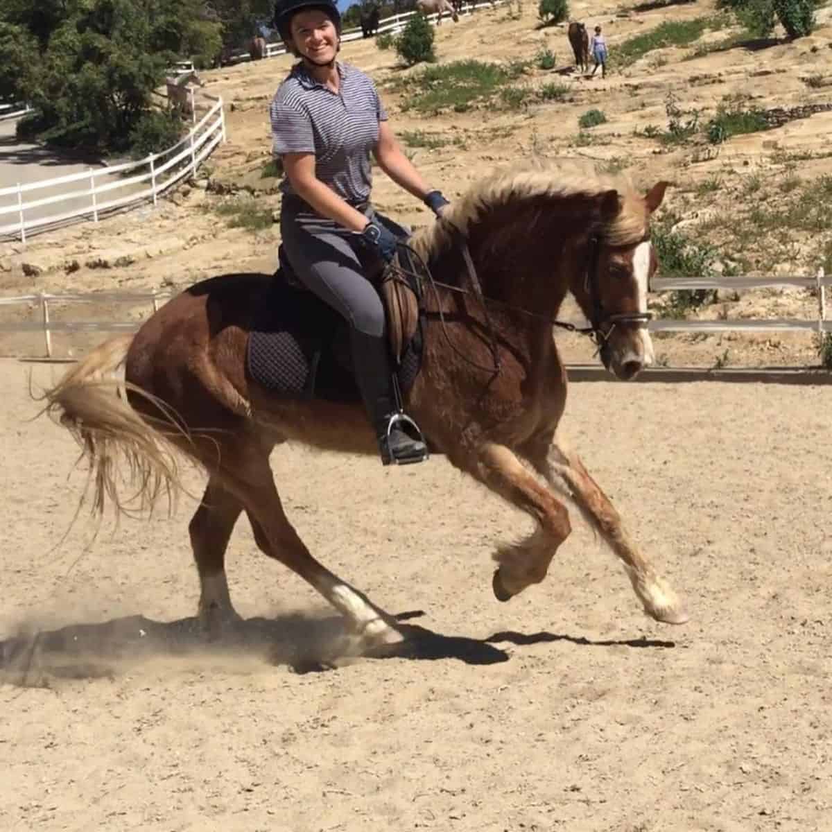 A horse trainer riding a spooked brown horse.