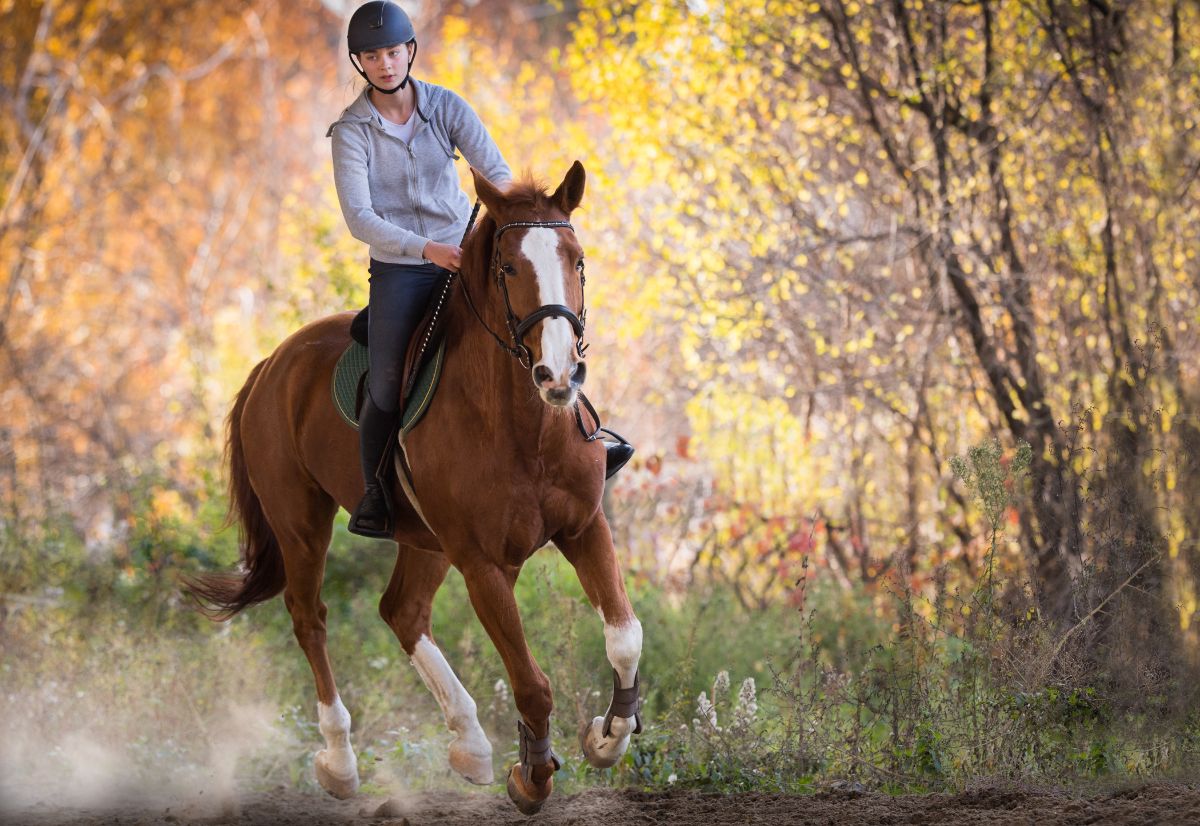 Young woman rides a brown horse.