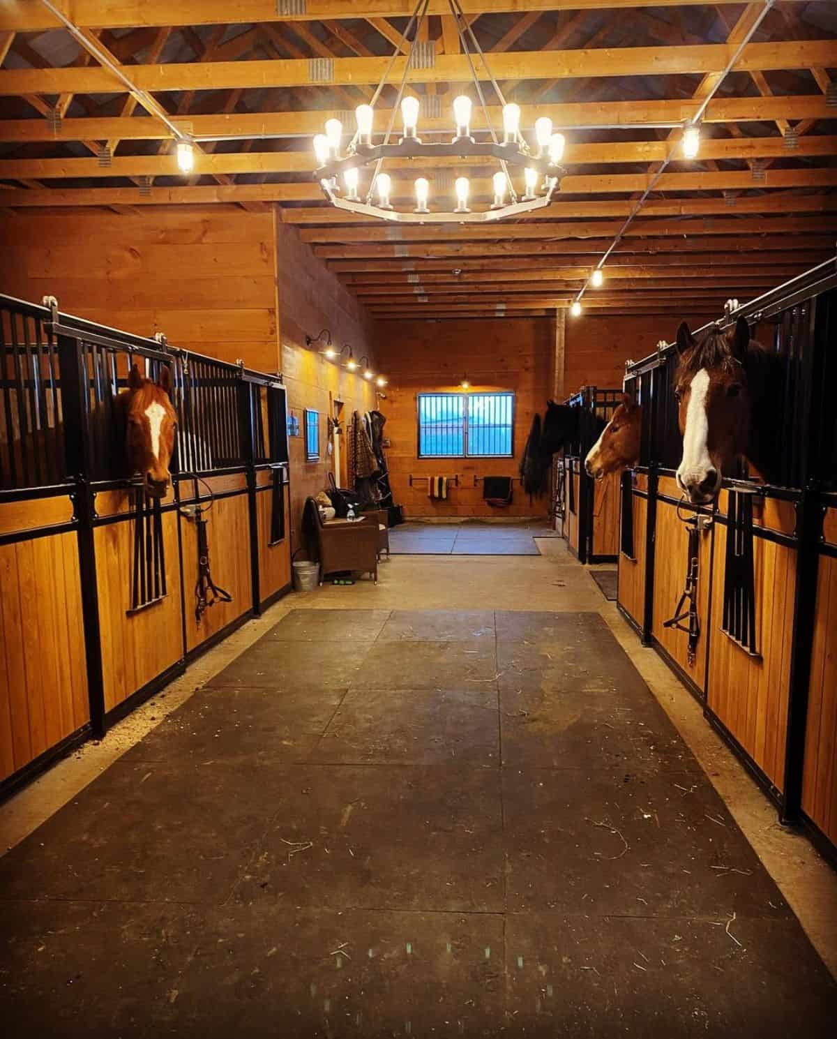 A stable full of horses decorated for a birthday party.
