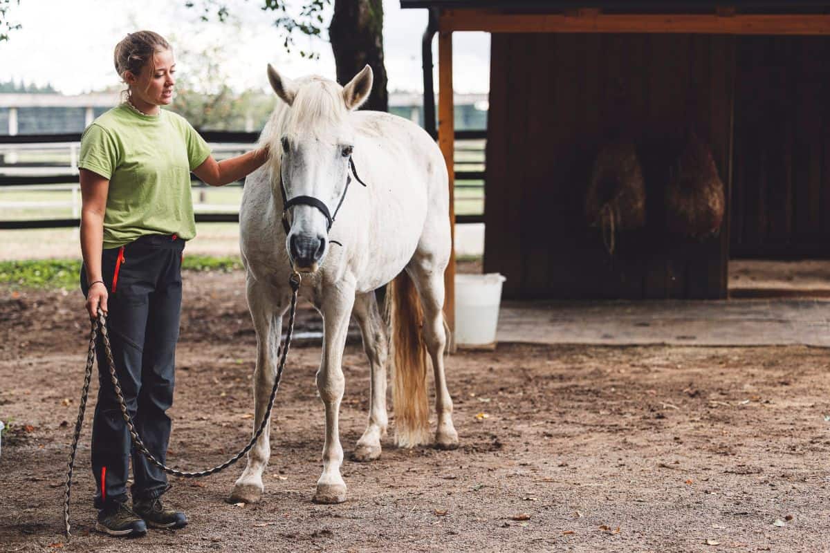 A young stands near a white horse near a barn.