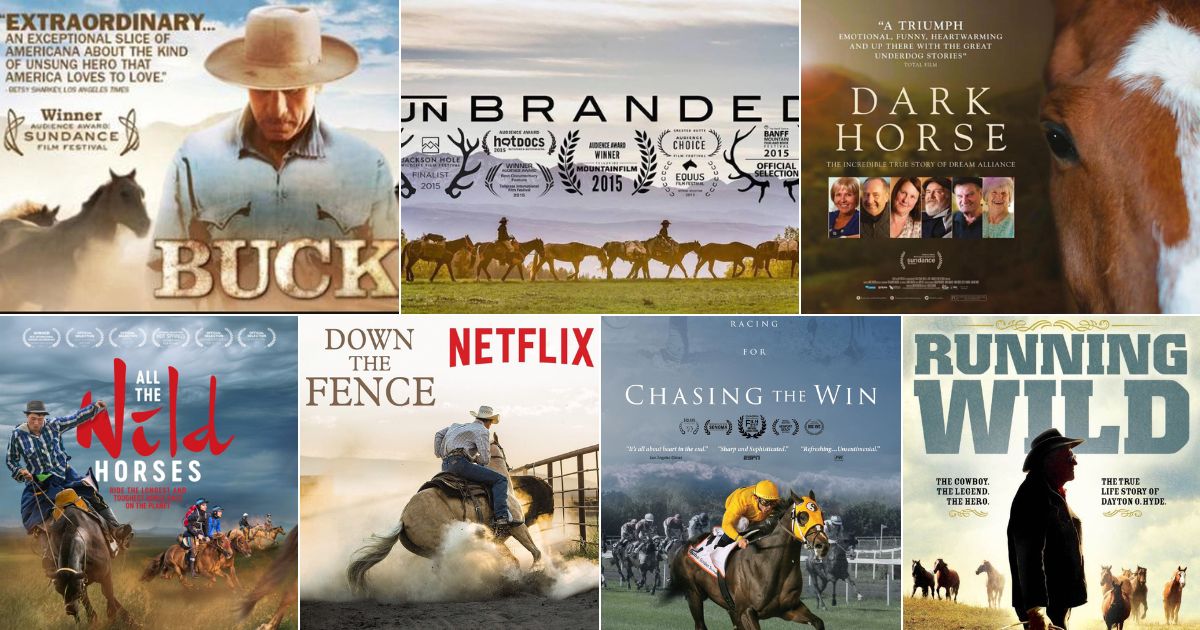The 7 Hands-Down Best Horse Documentaries in 2023 facebook image.