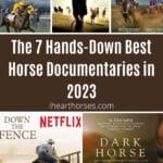 The 7 Hands-Down Best Horse Documentaries in 2023 pinterest image.
